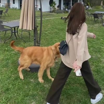 地狱来的房东